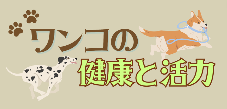 カワイイがいっぱい！ワンダーランド